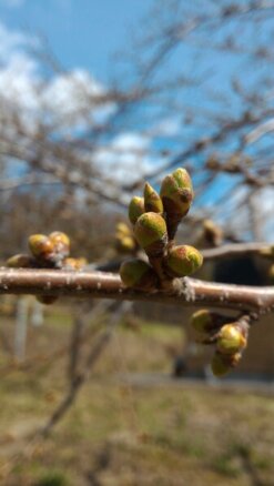2016年4月2日