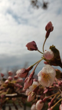 2016年4月28日