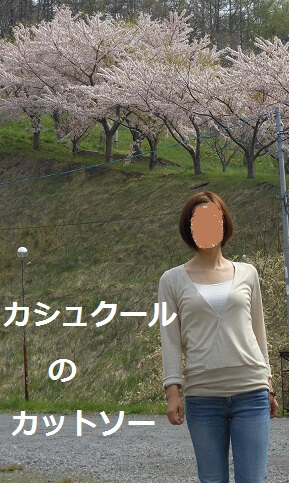 作ったのはトップスです。